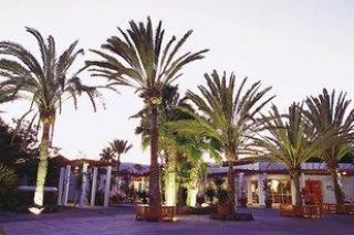 ROBINSON Esquinzo Playa